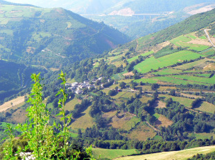 O solo rural poderá clasificarse como histórico, consolidado, non consolidado ou complexo.