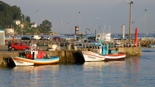 En Galiza o 87% das embarcacións censadas son de baixura (un total de 4.549 barcos)  Imaxe: porto de Bueu / Flickr:triat3d