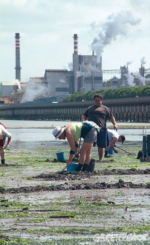 Unha imaxe da Ría de Pontevedra, con Elnosa ao fondo / Foto: Greenpeace