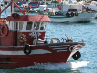 O ano pasado adicáronse á captura da centola un total de 409 barcos galegos