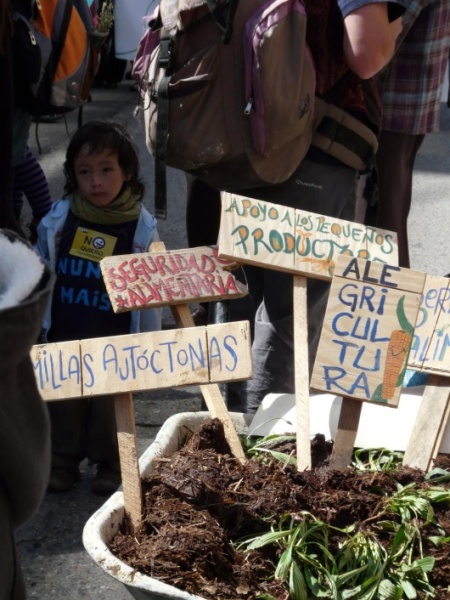 Marcha contra os transxénicos